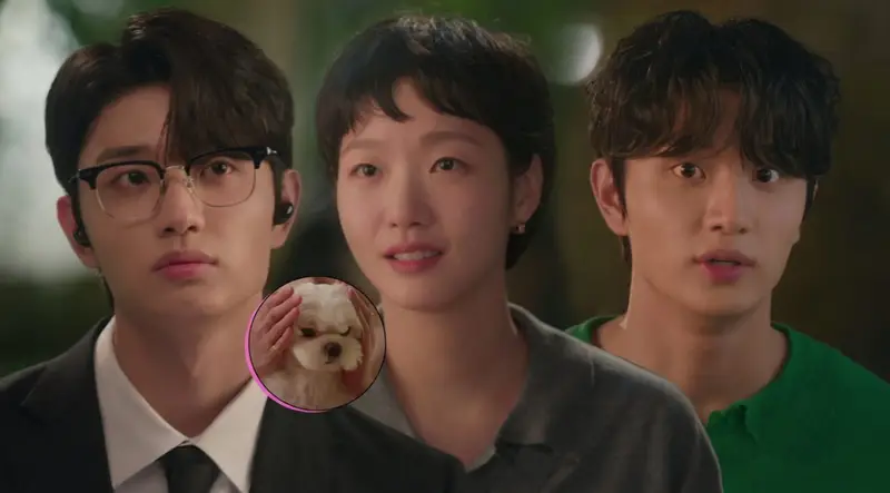 atores Kim Go-eun e Kim Jae-won no pôster oficial da 3ª temporada de As células de Yumi