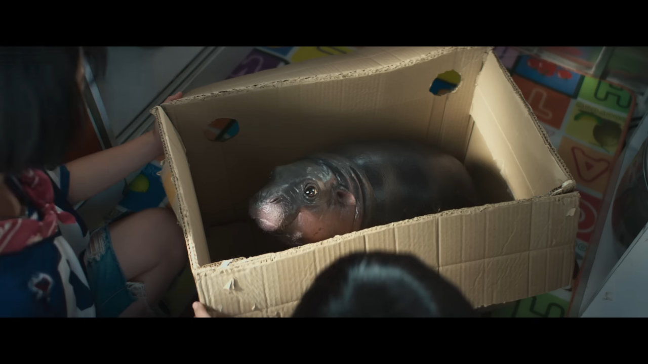 Um filhote de hipopótamo-pigmeu ao lado dos atores do filme.