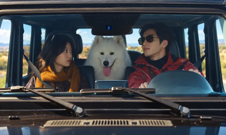 Luke drives with Flora in the passenger seat and their white dog between them.